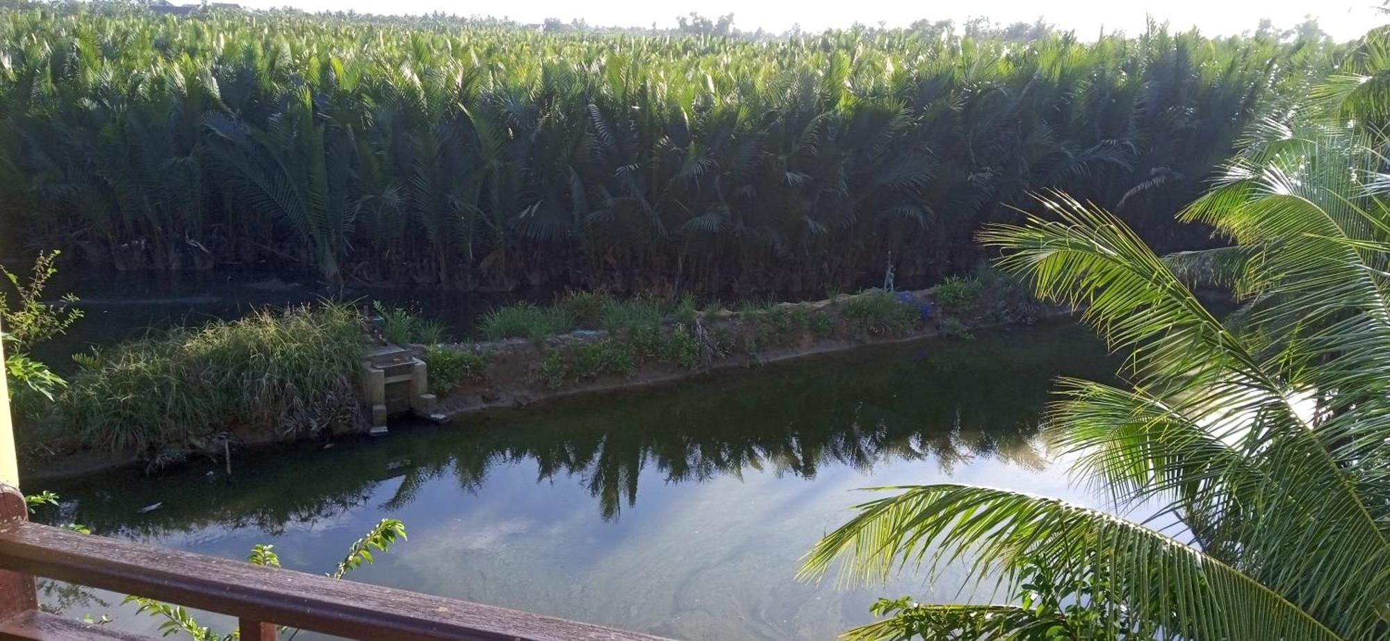 Lakeview Villa Homestay Hoi An Eksteriør bilde
